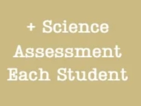 screenshot 13 7 2025 213139 mightybcurriculum.square.site